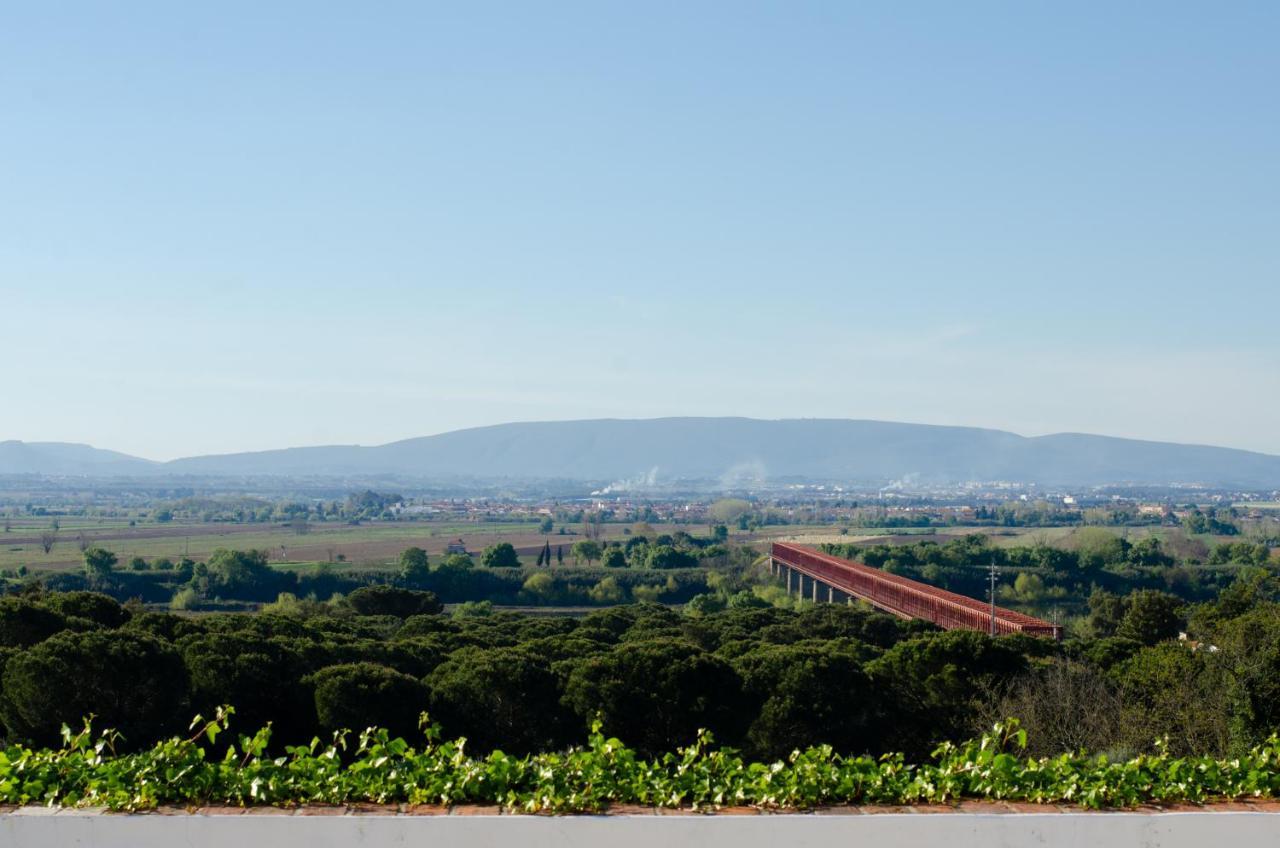 Chamusca  Convento Inn And Artists Residency المظهر الخارجي الصورة